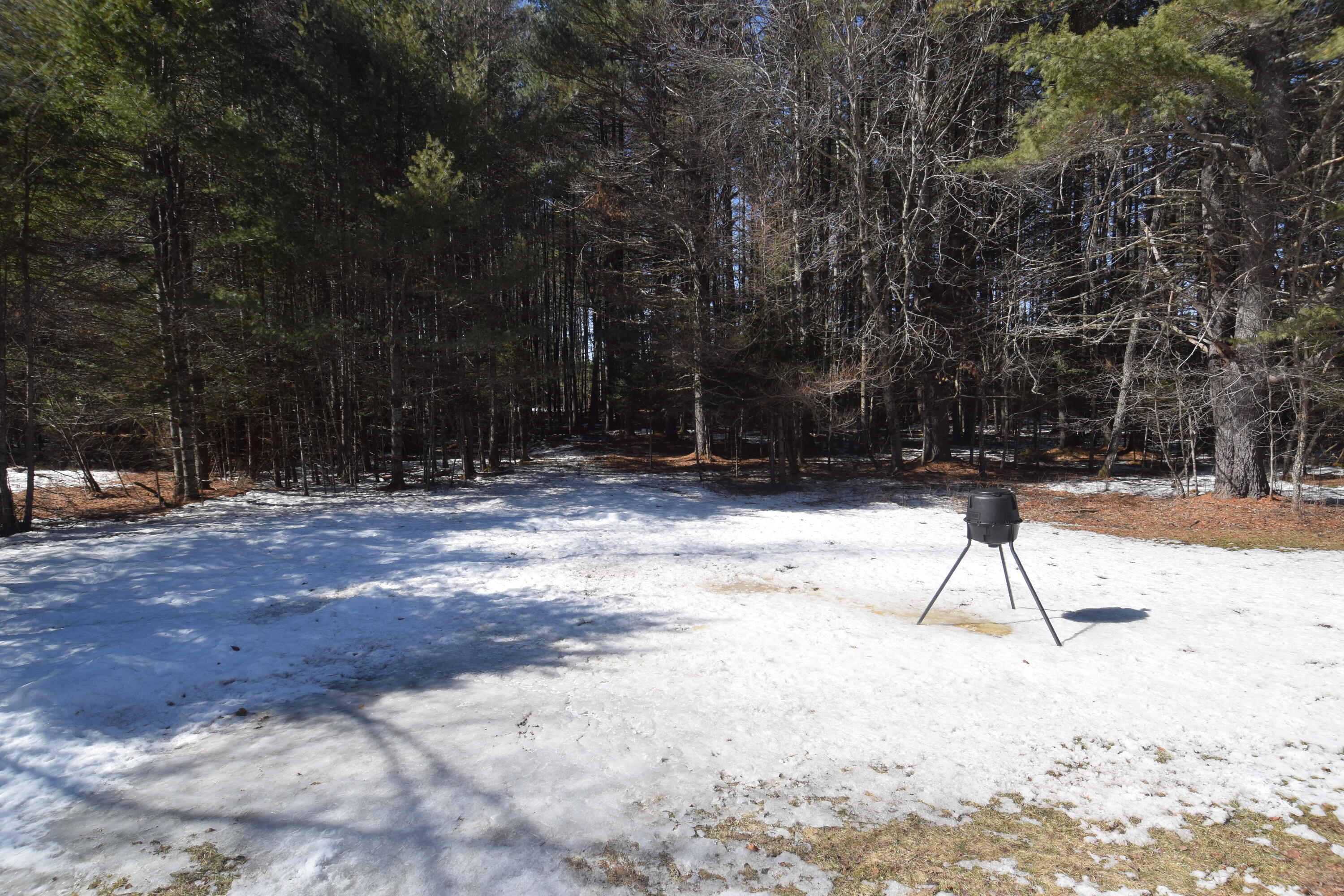 1182 Long Falls Dam Road New Portland, ME 04961 - Photo 23 of 32 DSC_0025