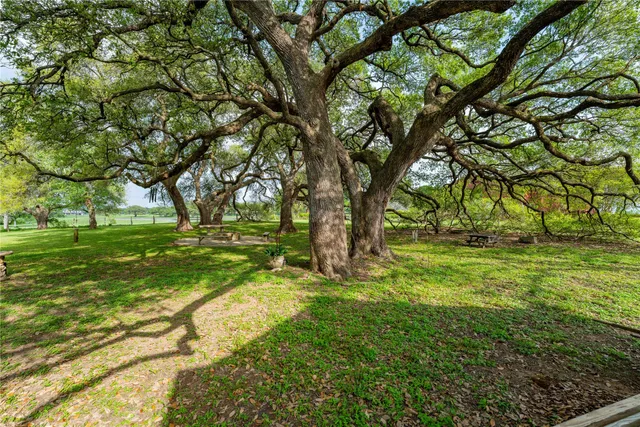 a view of yard with green space