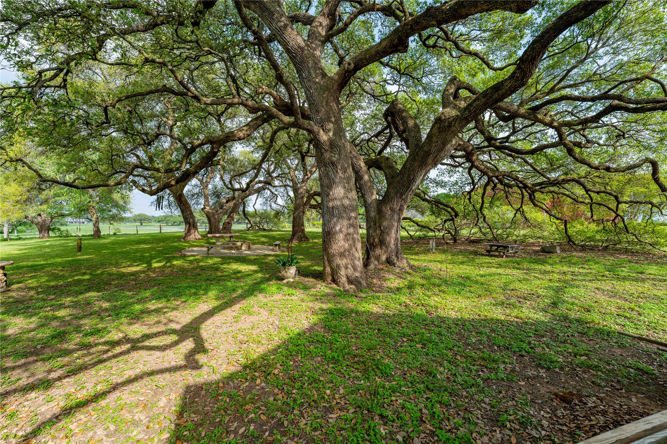2007 FM 2434 Weimar, TX 78962 - Photo 32 of 44 a view of yard with green space