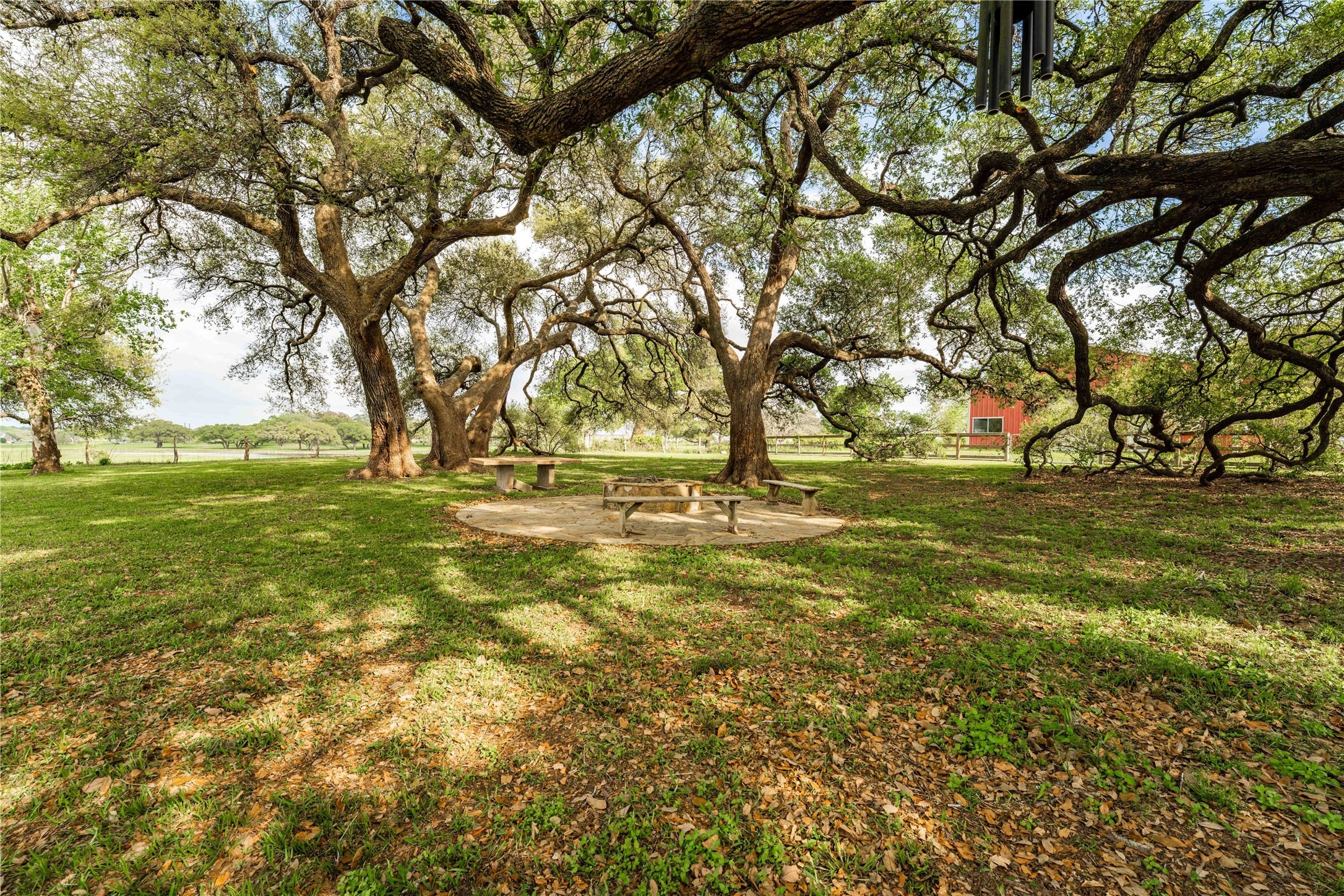 2007 FM 2434 Weimar, TX 78962 - Photo 37 of 44 a view of yard with trees