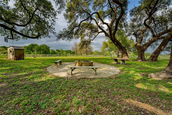 a view of a park with large trees