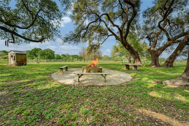 a view of a park with large trees