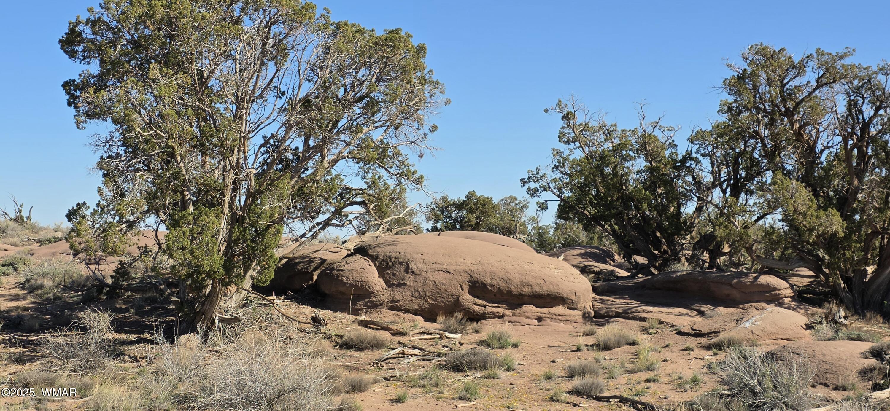 5085 Concho Ocho Road Snowflake, AZ 85937 - Photo 16 of 22 Gallery Image 16