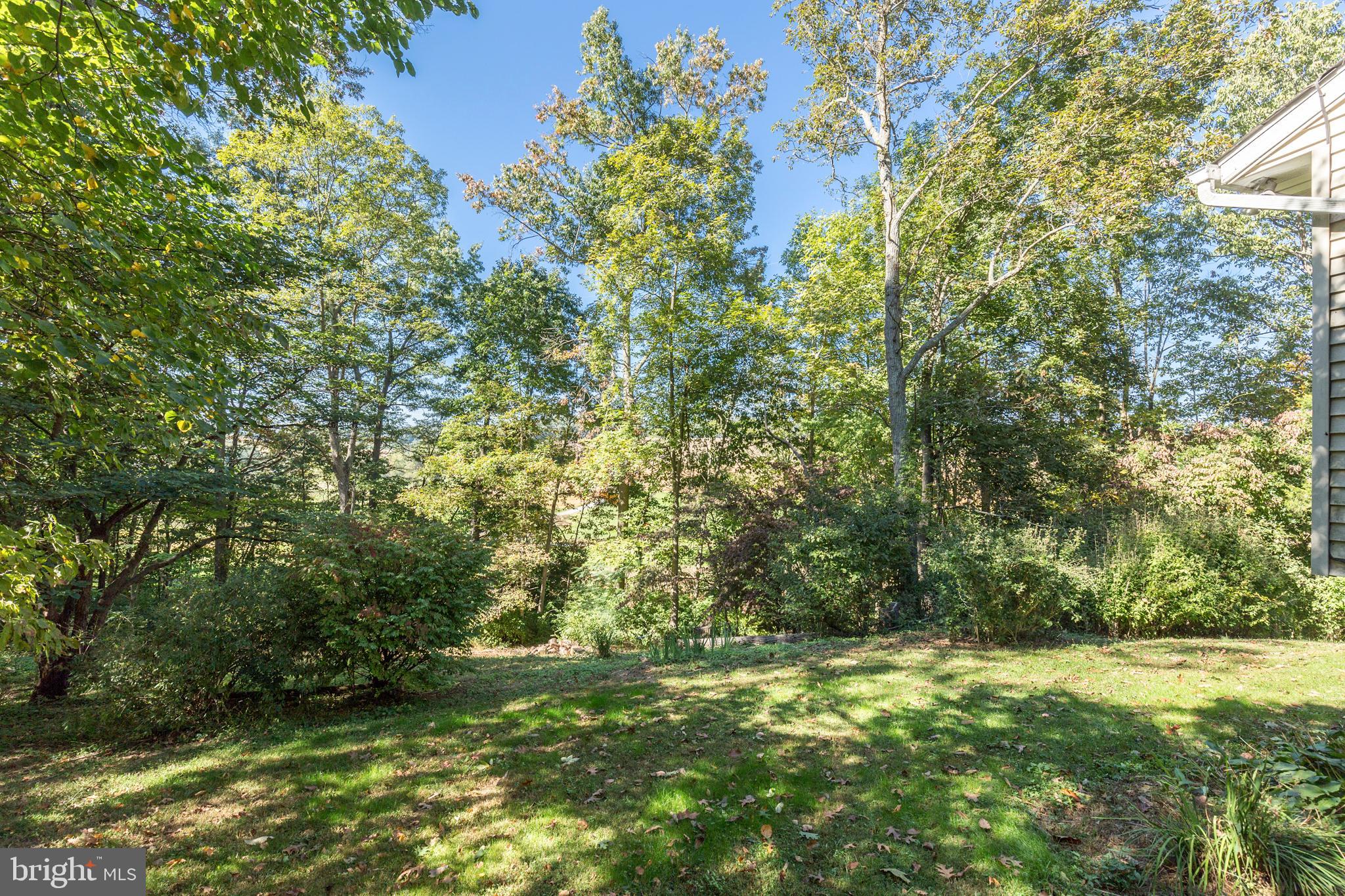 4311 York Road, Unit 1 Manchester, MD 21102 - Photo 2 of 42 a view of outdoor space and yard