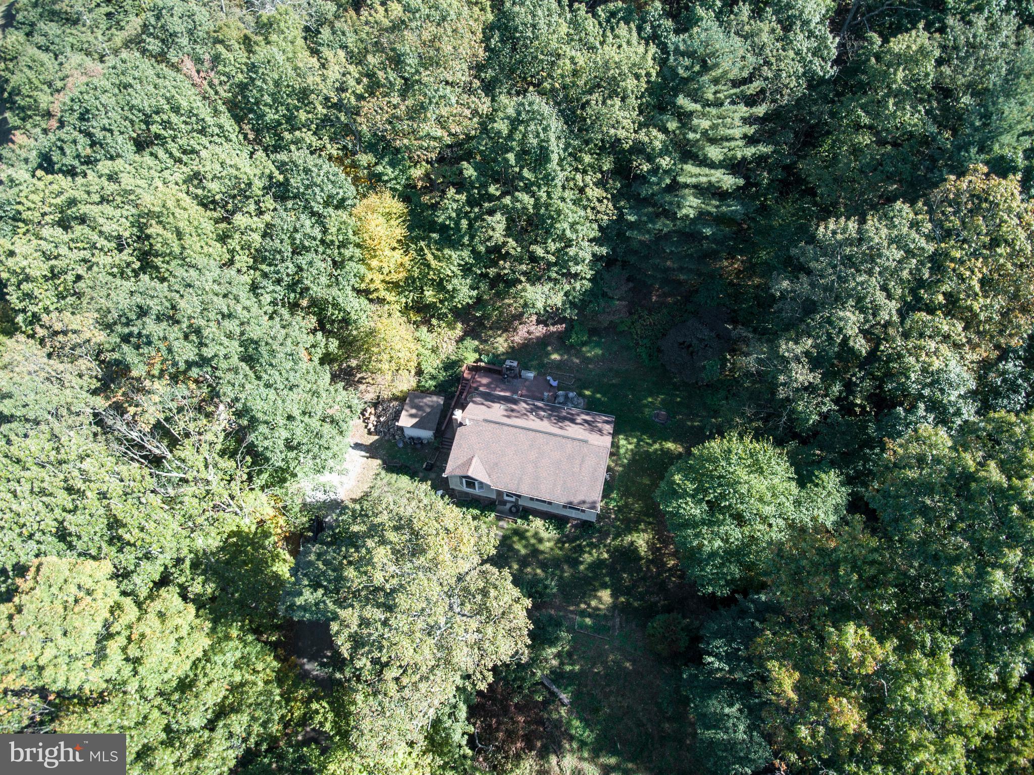 4311 York Road, Unit 1 Manchester, MD 21102 - Photo 42 of 42 an outdoor space with lots of trees