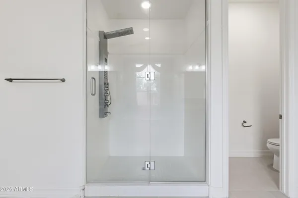 a bathroom with a shower and a toilet