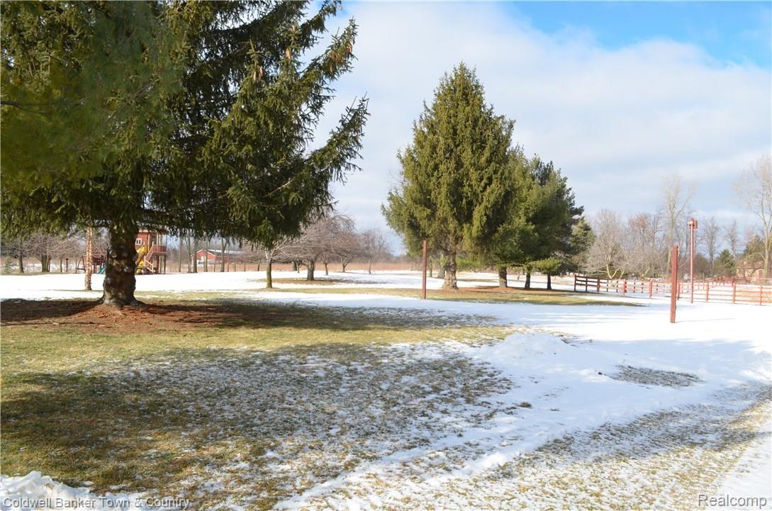 5979 Bordman Road Dryden, MI 48428 - Photo 44 of 47 Yard2.jpg