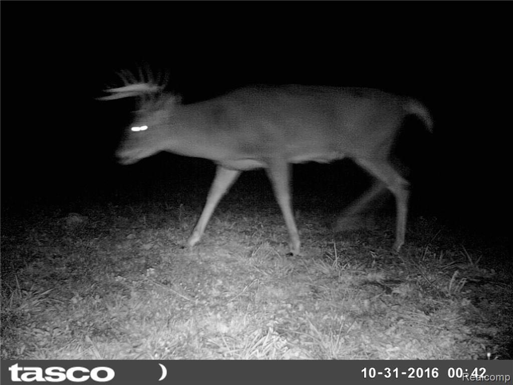 Na Moscow Road Jonesville, MI 49250 - Photo 31 of 36