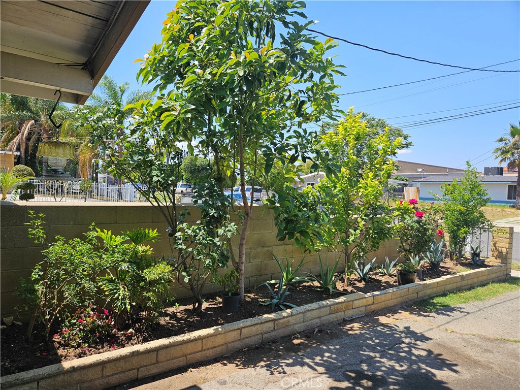 537 East 3rd Street Rialto, CA 92376 - Photo 11 of 47 a front view of a house with a yard and potted plants
