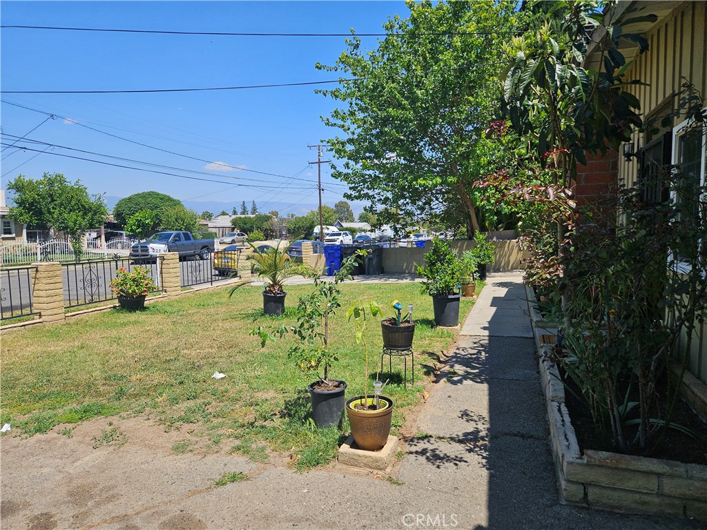 537 East 3rd Street Rialto, CA 92376 - Photo 5 of 47 a view of a backyard with fountain plants and large tree