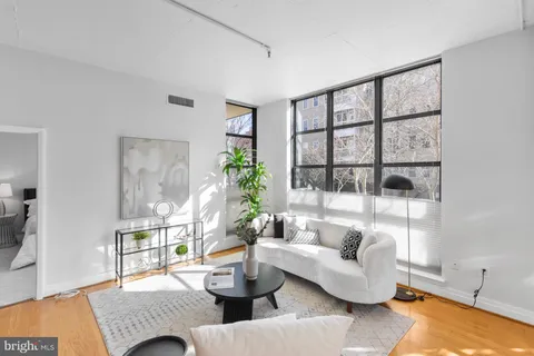 a living room with furniture and a potted plant