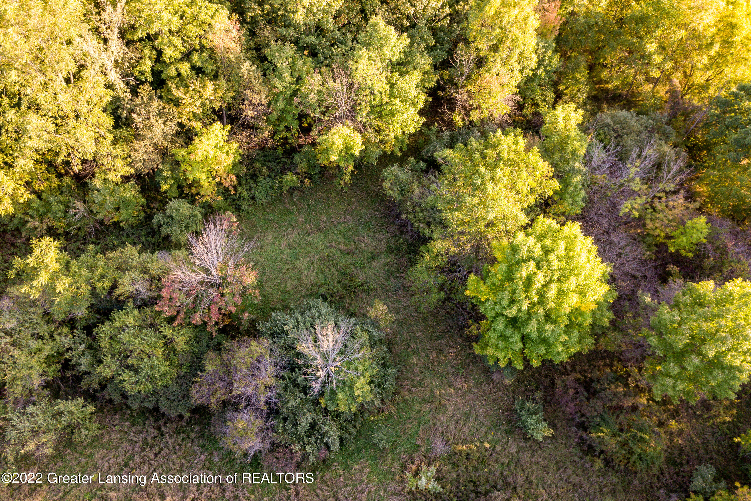 0 South Skyline Perrinton, MI 48871 - Photo 24 of 37 Skyline Dr Lot 003 Perrinton MI -112