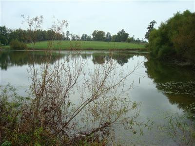 4130 Mt Sterling Road Winchester, KY 40391 - Photo 14 of 19 Photo 14