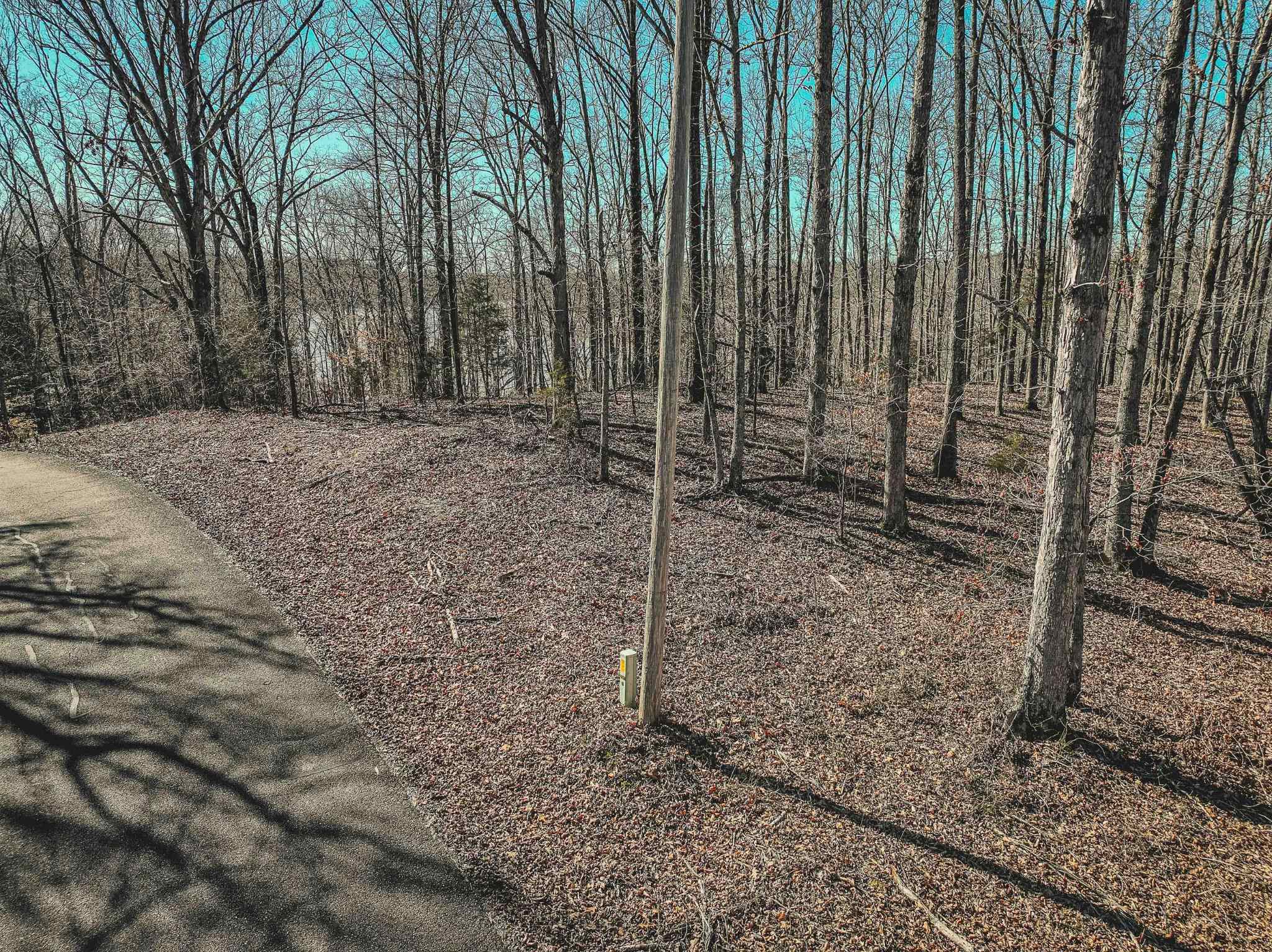 Lot 0425 Fawn Ridge Road Parsons, TN 38363 - Photo 12 of 21 View of yard