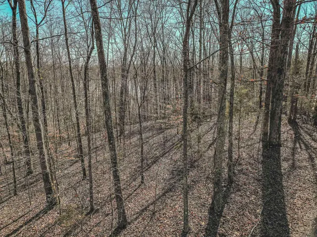 $8,500 | Lot 0425 Fawn Ridge Road, Parsons, TN 38363