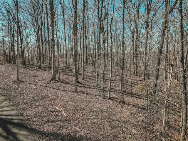 $8,500 | Lot 0425 Fawn Ridge Road, Parsons, TN 38363