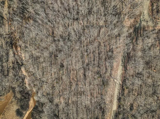 $8,500 | Lot 0425 Fawn Ridge Road, Parsons, TN 38363