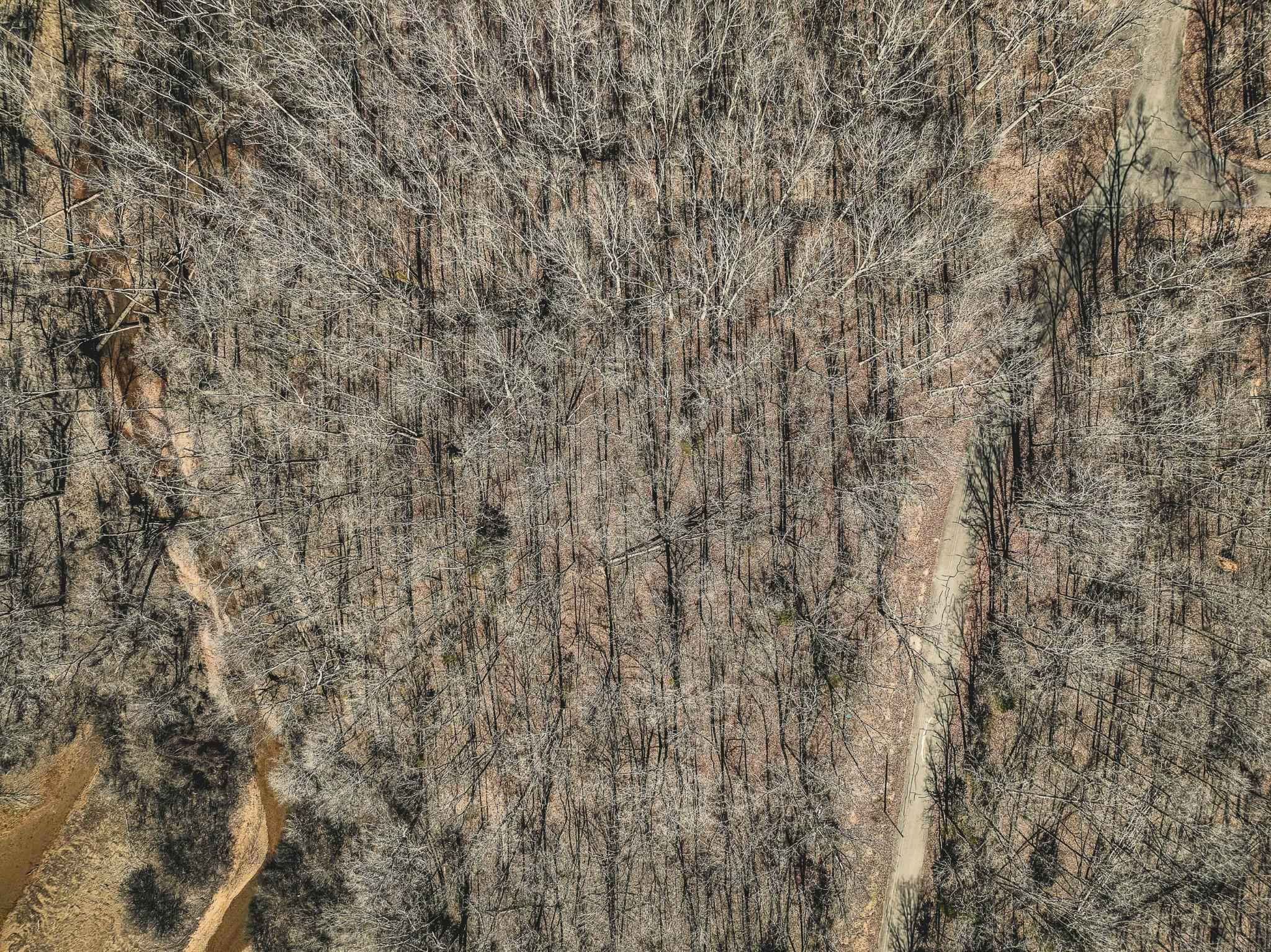 Lot 0425 Fawn Ridge Road Parsons, TN 38363 - Photo 10 of 21 View of details