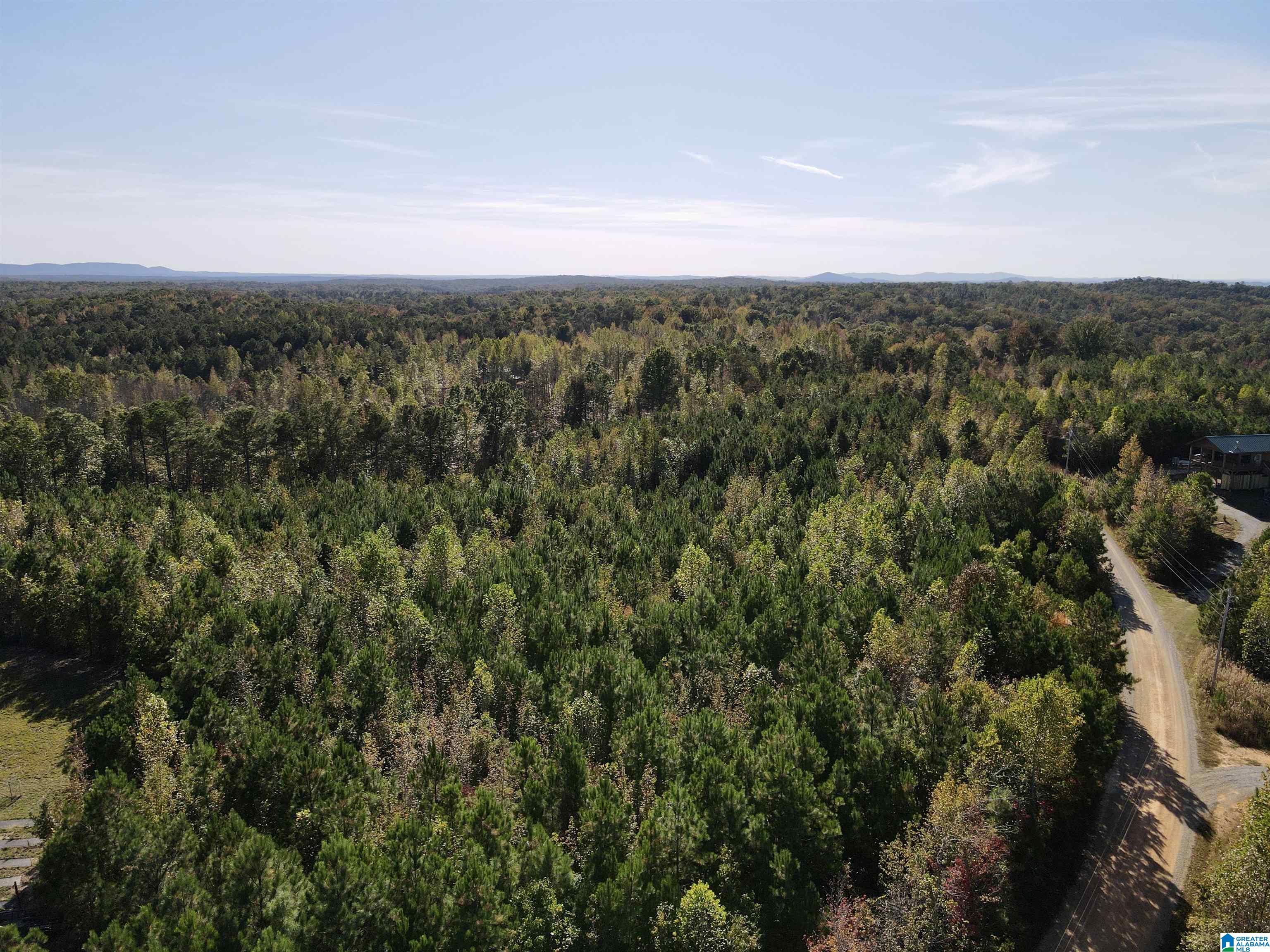 7070 Rendalia Motorway Talladega, AL 35160 - Photo 6 of 28