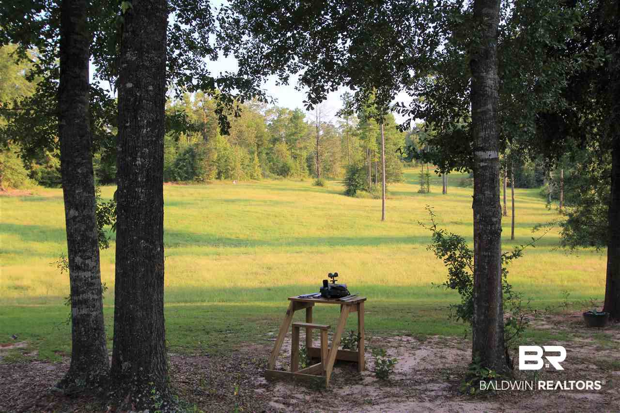 794 Dry Lake Road Luverne, AL 36049 - Photo 31 of 48 Front Pasture