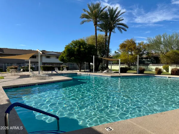 a view of a swimming pool with a garden