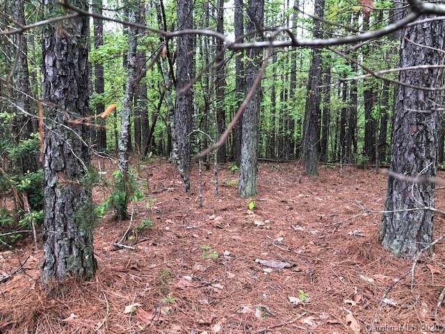 Lot 17 Hawk Ridge Dr Mill Spring, Unit 17 Mill Spring, NC 28756 - Photo 3 of 6