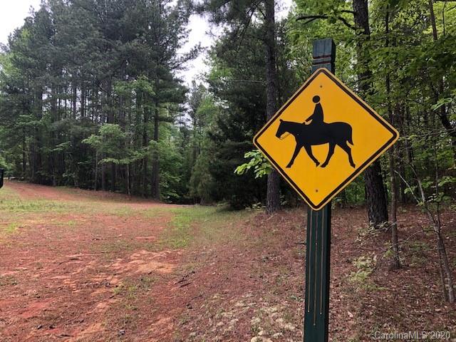 Lot 17 Hawk Ridge Dr Mill Spring, Unit 17 Mill Spring, NC 28756 - Photo 4 of 6