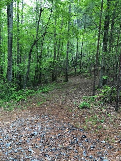 Lot 17 Hawk Ridge Dr Mill Spring, Unit 17 Mill Spring, NC 28756 - Photo 5 of 6