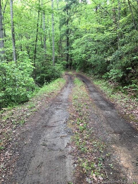 Lot 17 Hawk Ridge Dr Mill Spring, Unit 17 Mill Spring, NC 28756 - Photo 6 of 6