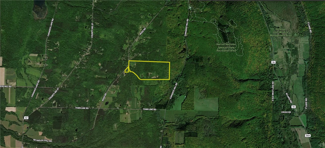 6989 Ross Road Canadice, NY 14560 - Photo 49 of 50 Gallery Image 49