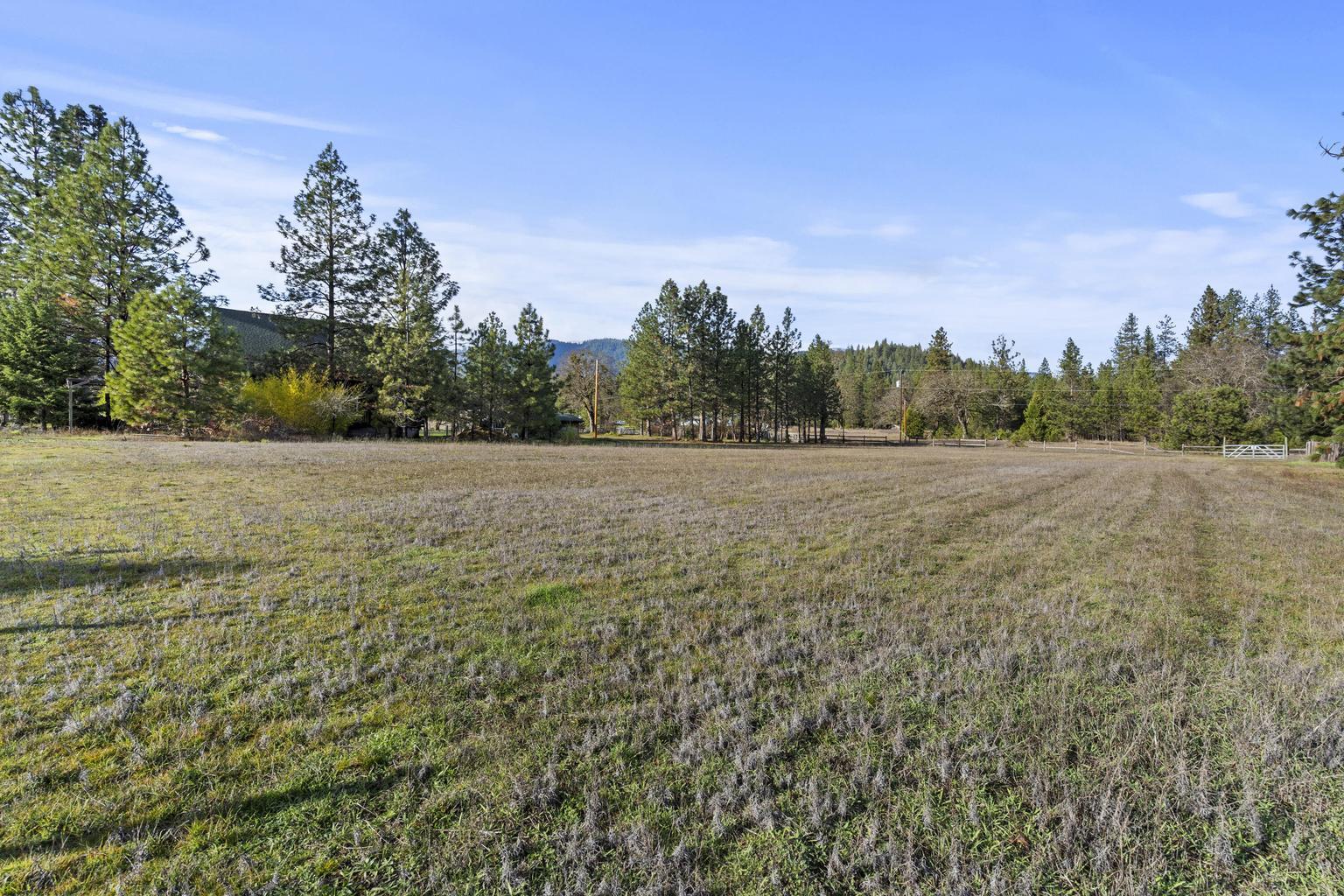 1190 Cedar Flat Road Williams, OR 97544 - Photo 44 of 45 a view of a field with an trees in the background