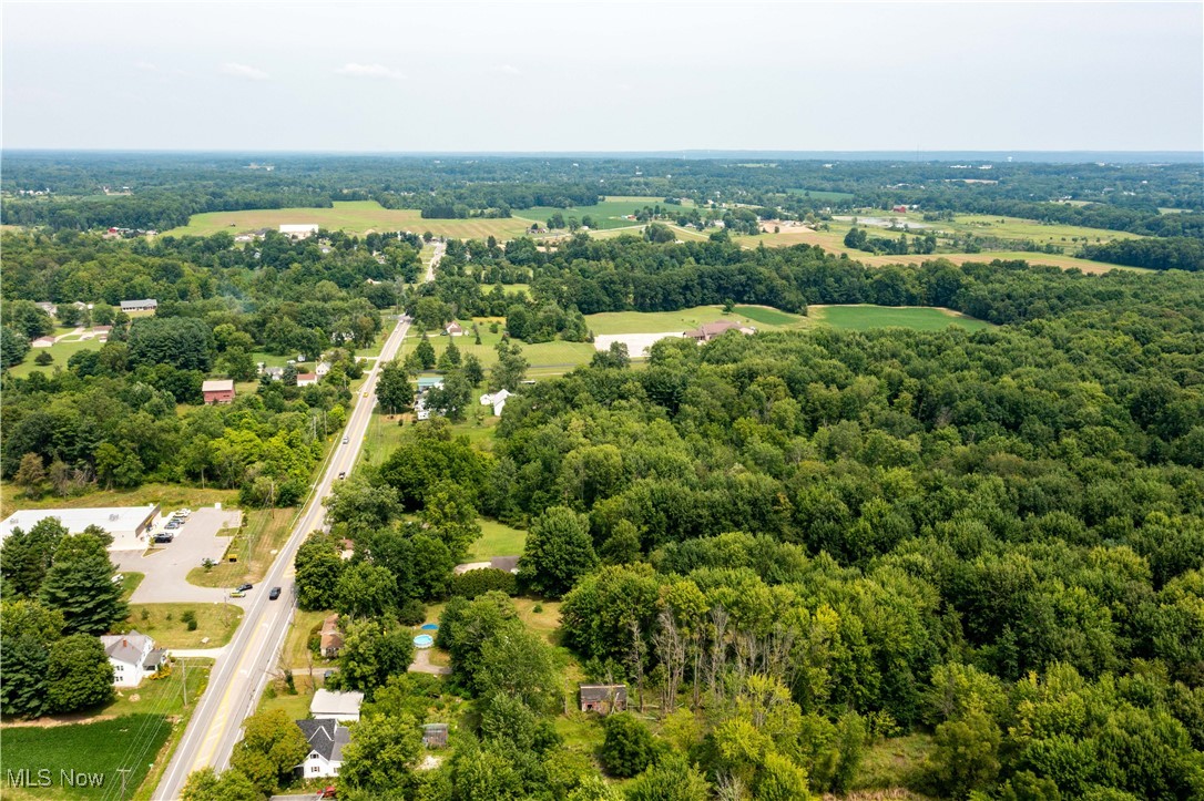 6283 Lafayette Road Medina, OH 44256 - Photo 6 of 8 Bird's eye view of a forest