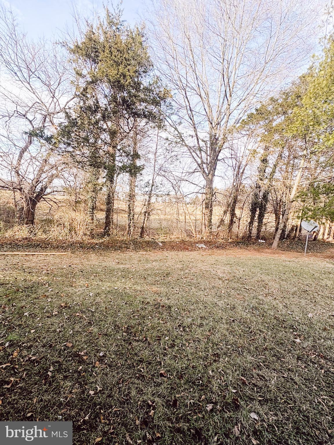 6151 Newton Lane Bealeton, VA 22712 - Photo 47 of 47 a view of yard covered with snow