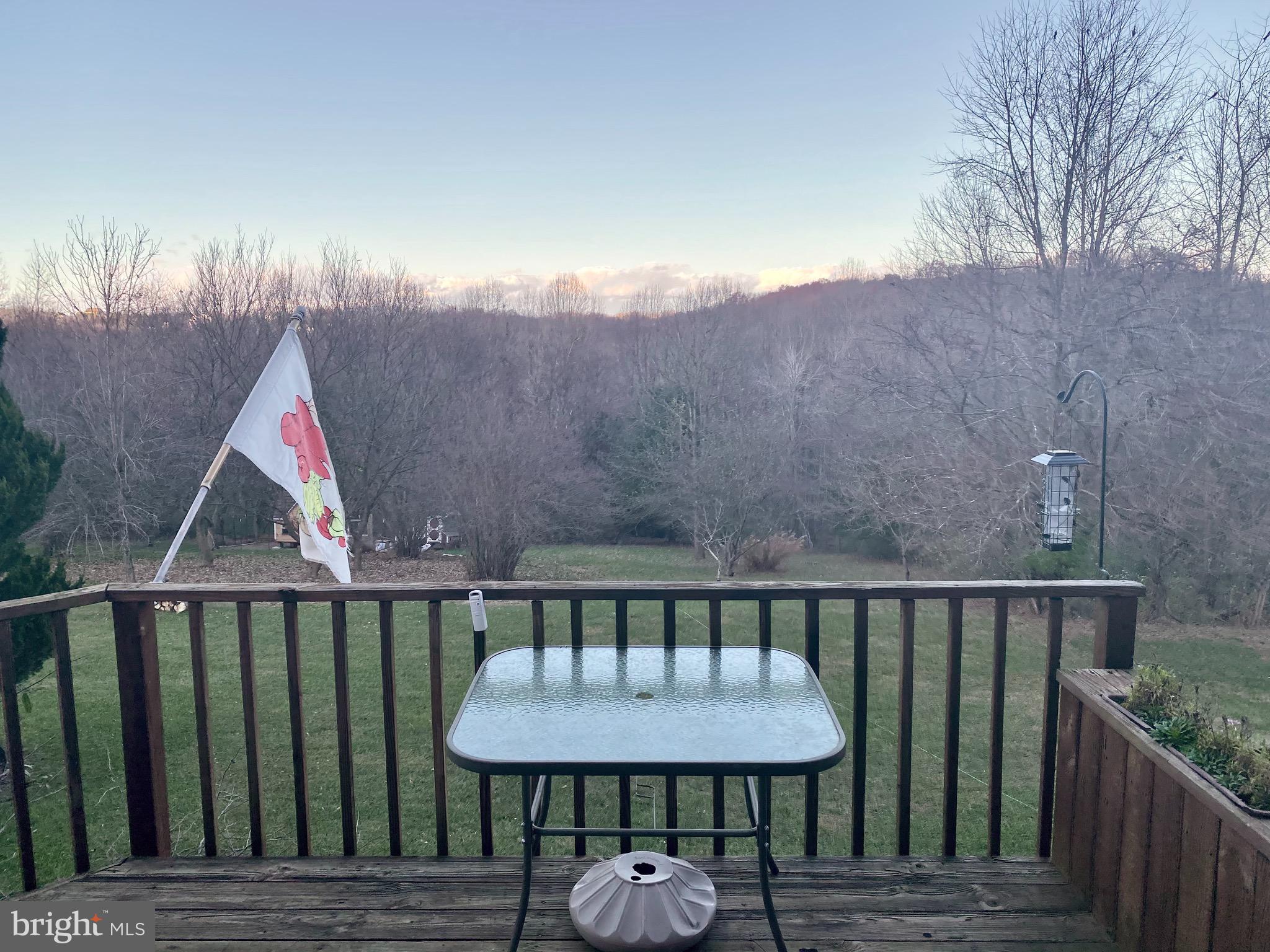 2400 Flag Marsh Road Mount Airy, MD 21771 - Photo 21 of 39 AHHHHH sooooo peaceful and serene!