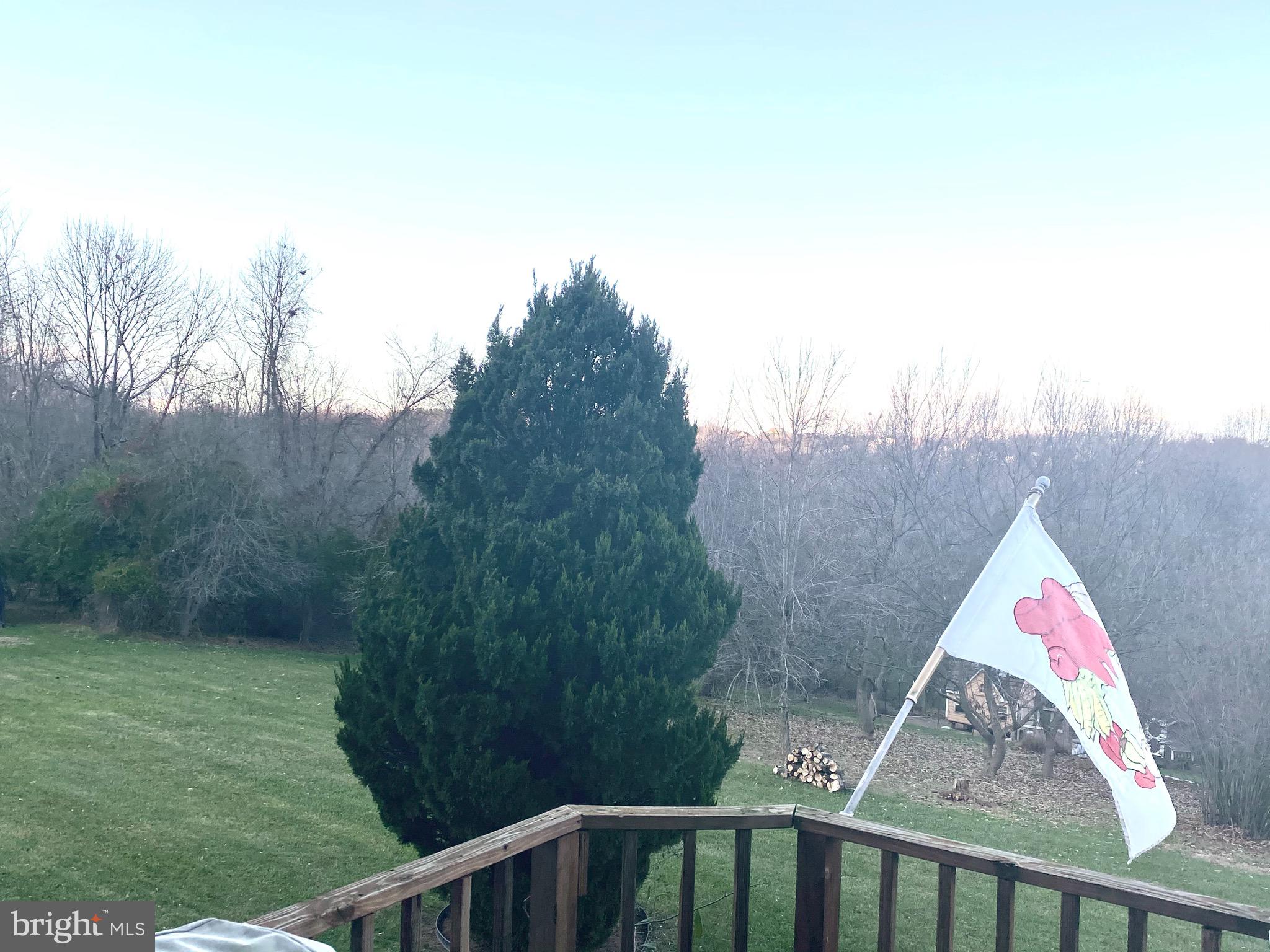 2400 Flag Marsh Road Mount Airy, MD 21771 - Photo 22 of 39 Beautiful backyard awaits you!!!