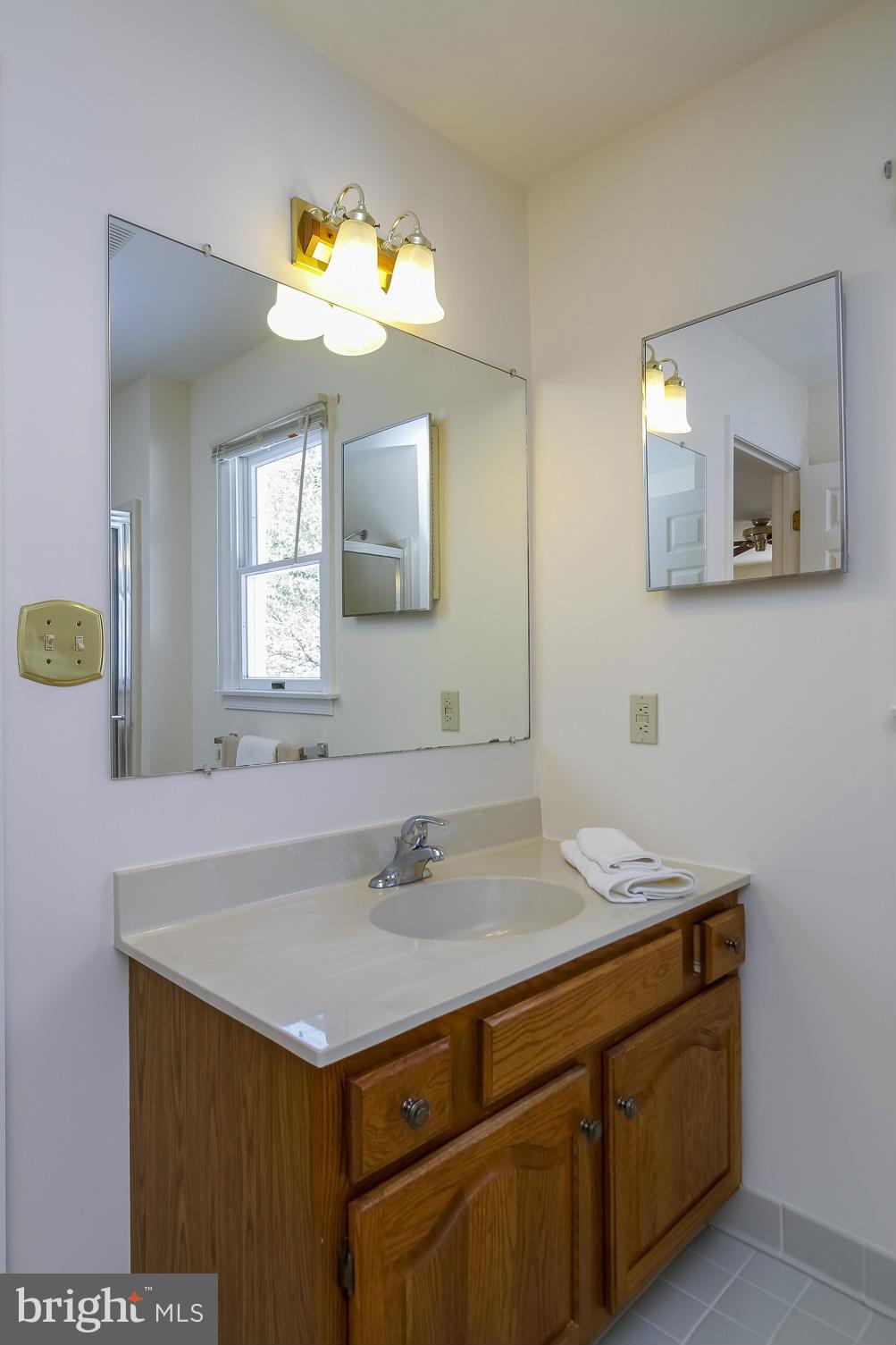 14015 Foxland Road Phoenix, MD 21131 - Photo 11 of 24 a bathroom with a sink and a mirror