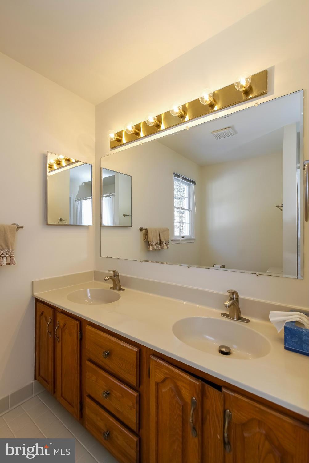 14015 Foxland Road Phoenix, MD 21131 - Photo 14 of 24 a bathroom with a sink and a mirror