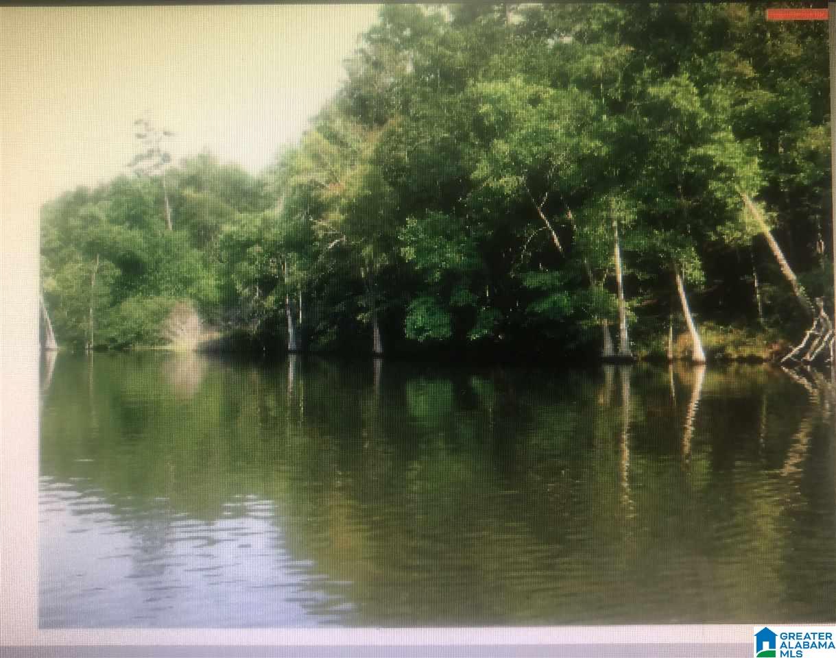 0 County Road 654 Clanton, AL 35046 - Photo 3 of 5