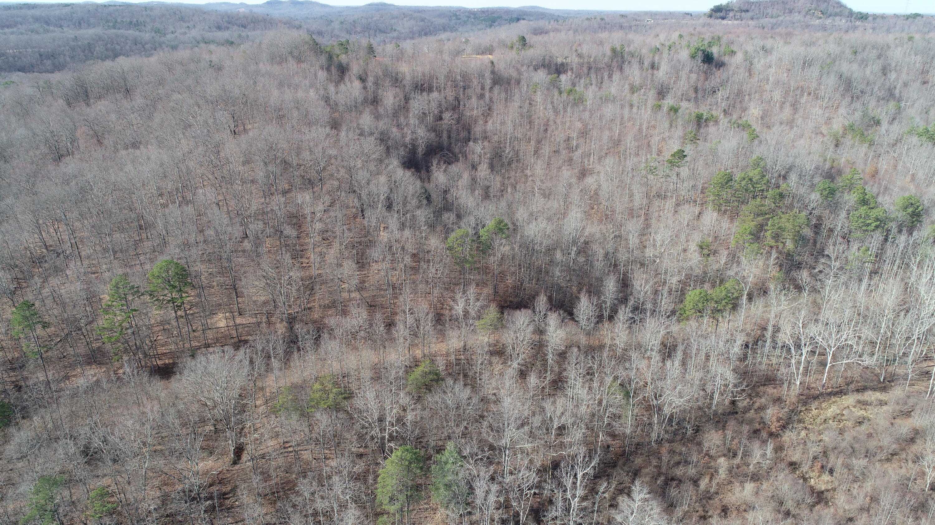 DJI_0741