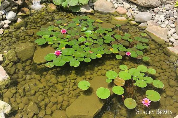 $2,750,000 | 7750 Silverthorne Drive Southeast, Ada, MI 49301