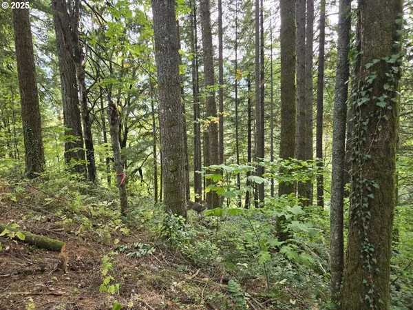 $549,999 | 1225 Ryan-Allen Road, Stevenson, WA 98648