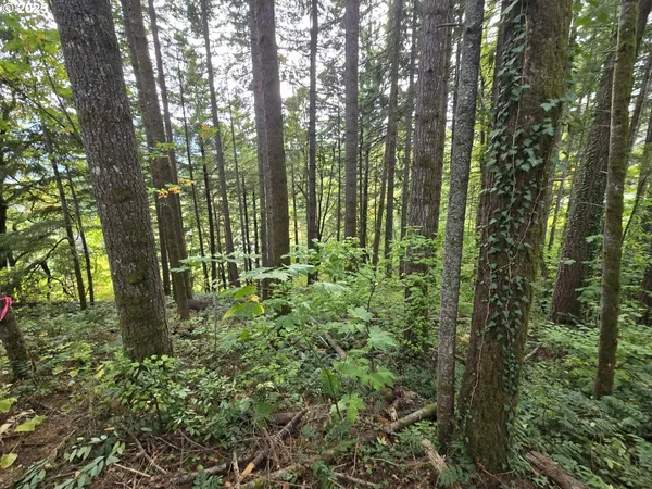 $549,999 | 1225 Ryan-Allen Road, Stevenson, WA 98648