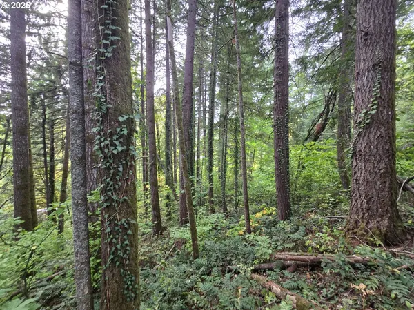 $549,999 | 1225 Ryan-Allen Road, Stevenson, WA 98648