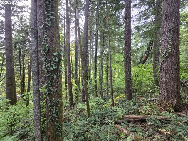 $549,999 | 1225 Ryan-Allen Road, Stevenson, WA 98648