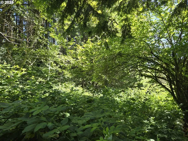 $549,999 | 1225 Ryan-Allen Road, Stevenson, WA 98648