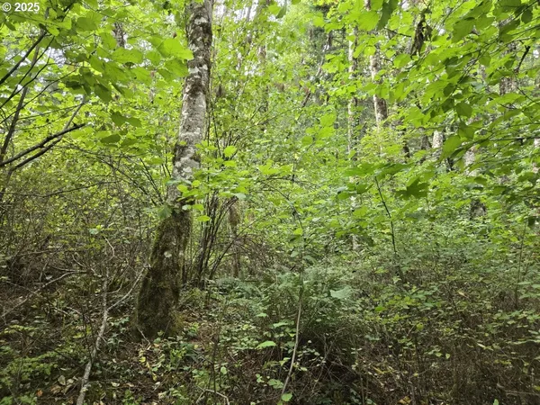 $549,999 | 1225 Ryan-Allen Road, Stevenson, WA 98648