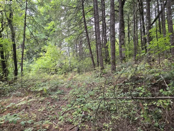 $549,999 | 1225 Ryan-Allen Road, Stevenson, WA 98648