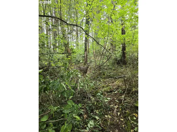 $549,999 | 1225 Ryan-Allen Road, Stevenson, WA 98648