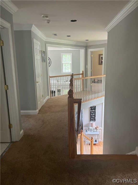 7382 Colts Neck Road Mechanicsville, VA 23111 - Photo 27 of 36 Gallery Image 27