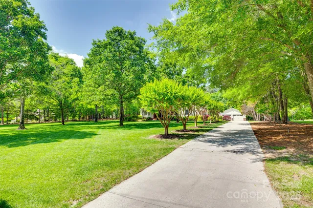 a walkway with trees in front of it